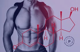Testosterona Masculina em Foco: Reconheça os Sinais e Impulsione Sua Vitalidade Naturalmente ✨